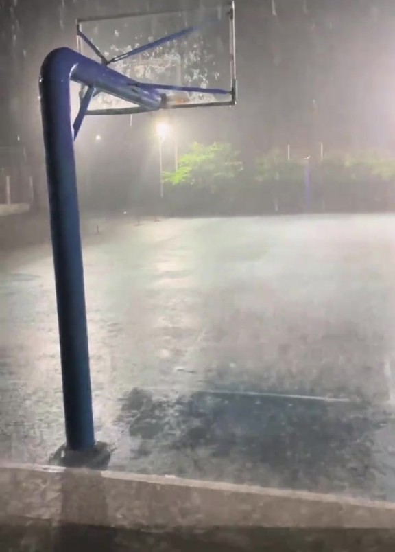 到底是哪个王八蛋发的誓，让我们这些单身狗淋雨？？？